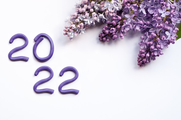 Figure 2022 in plastilina su fondo con fiori lilla
