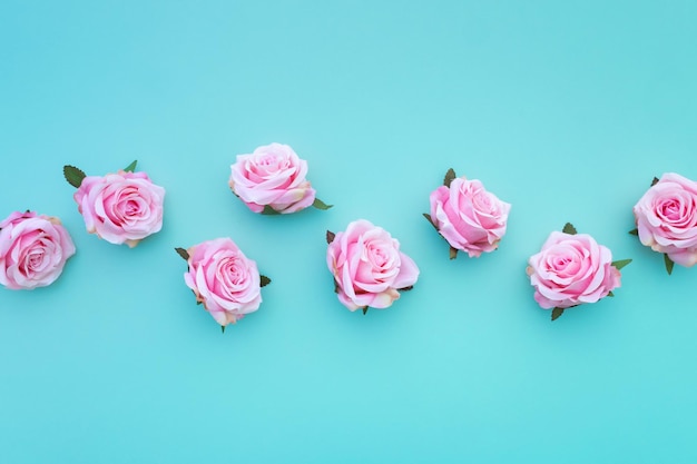 Fila di boccioli di rosa rosa satinato su sfondo turchese pastello Vista dall'alto piatto