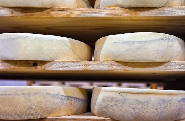 Fila di formaggio di invecchiamento su scaffali di legno nella cantina di stagionatura del caseificio Franche Comte in Francia