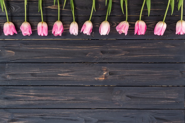 Fila di tulipani rosa su fondo di legno rustico