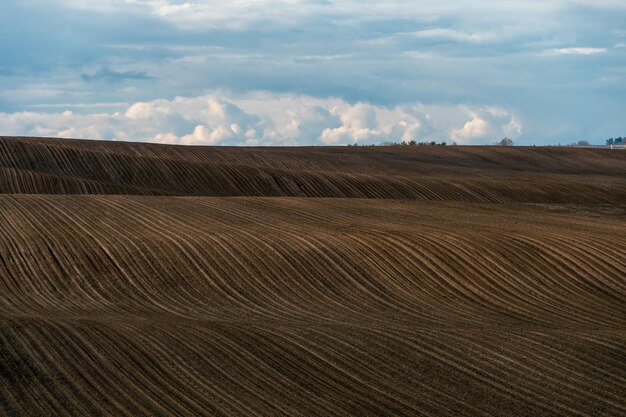 Filari di terreno prima della semina Tracciamento dei solchi su un campo arato preparato per la semina primaverile delle colture agricole Vista del terreno preparato per la semina e la coltivazione delle colture