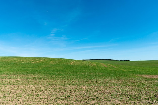 Filari di terreno prima della semina Tracciamento dei solchi su un campo arato preparato per la semina primaverile delle colture agricole Vista del terreno preparato per la semina e la coltivazione delle colture