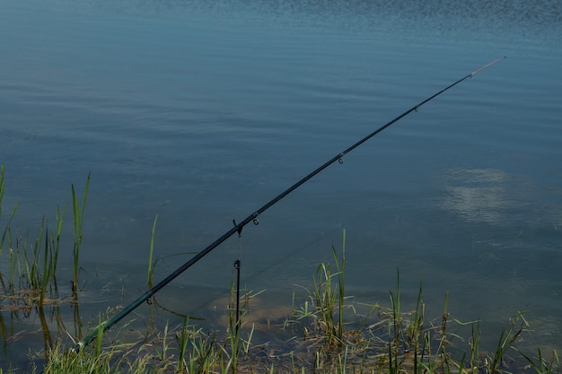 Filatura e bobina sul lago d'estate.