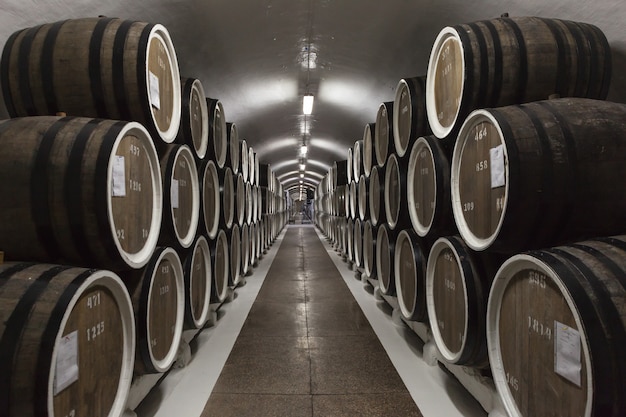 File di grandi botti di rovere in cantina buia. Impianto per la produzione di vino.