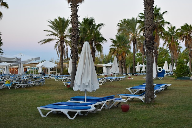 File di lettini in spiaggia senza persone al mattino presto.