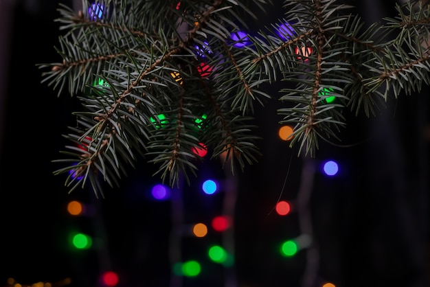 Filiale di natale dell'abete rosso su un bokeh scuro della priorità bassa