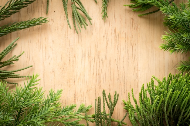 Filiali arborvitae, rami di ginepro su sfondo di Natale di legno