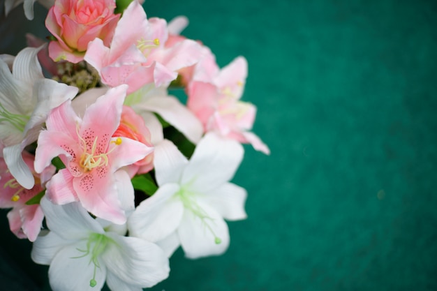 Fine meravigliosamente del fiore bianco su