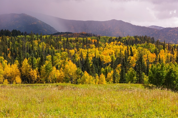 Fine stagione autunnale in montagna