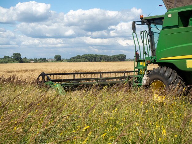 Fine verde della mietitrice agricola su