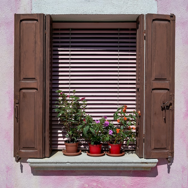 Finestra con otturatore marrone e fiori nel vaso. Italia, Venezia, Burano