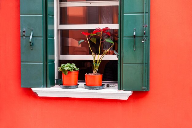 Finestra con persiane verdi sulla parete rossa. Architettura colorata nell'isola di Burano, Venezia, Italia.
