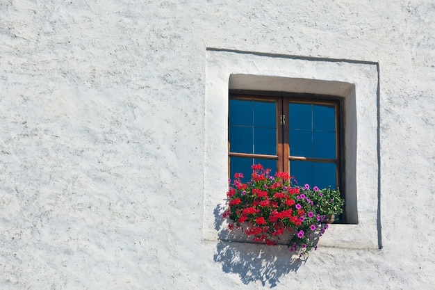 Finestra con vasi da fiori e fiori colorati su un muro bianco