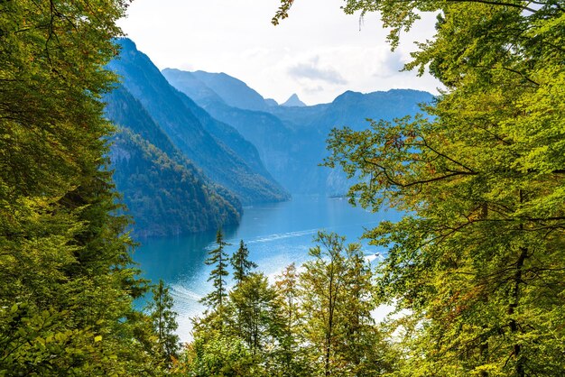 Finestra della foresta con vista sul lago vicino a Schoenau am Koenigssee Konigsee Parco Nazionale di Berchtesgaden Baviera Germania