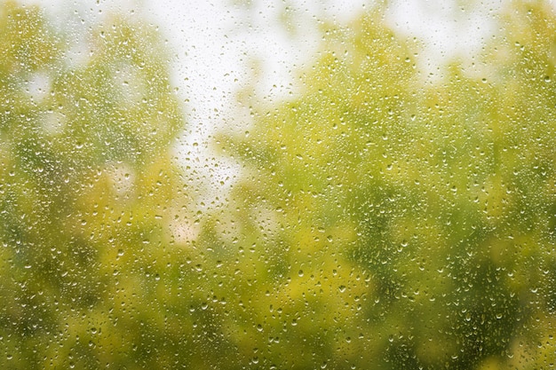 Finestra di vetro autunnale con gocce di pioggia, sfondo della natura