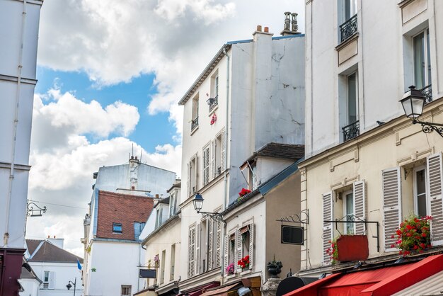 Finestre di Parigi con fiori in via Montmartre