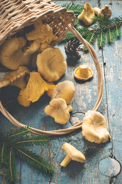 Finferli di funghi di bosco selvatici sparsi dal cesto su sfondo vecchio.