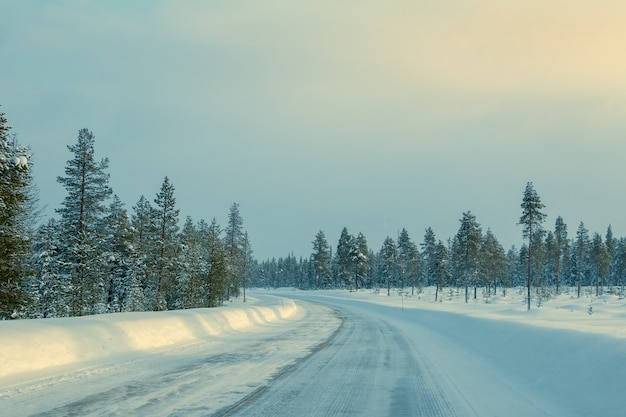 Finlandia invernale. Rara foresta settentrionale e molta neve. Autostrada vuota con derive sul lato. Luce solare debole