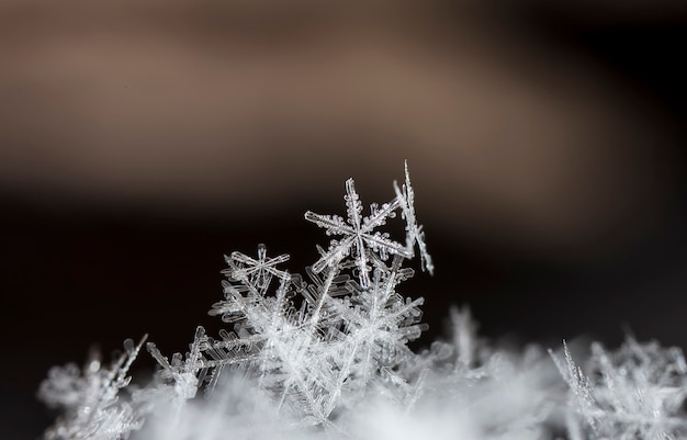 Fiocchi di neve durante una nevicata