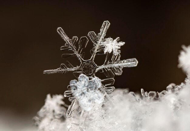 fiocchi di neve naturali sulla neve invernale