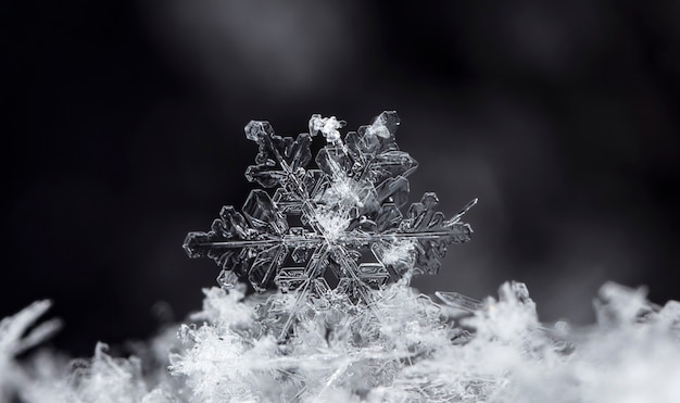 Fiocco di neve sul cumulo di neve naturale vicino a Natale e sfondo invernale