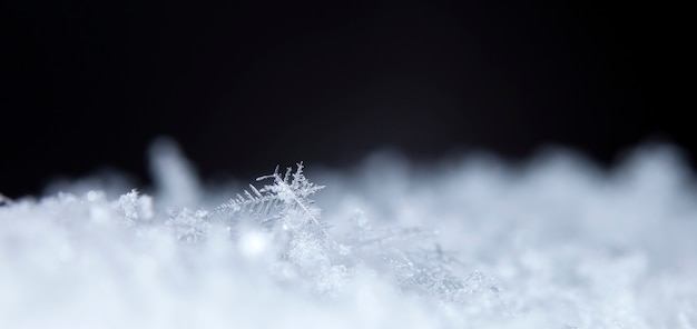 Fiocco di neve sulla neve Vacanze invernali e sfondo di Natale