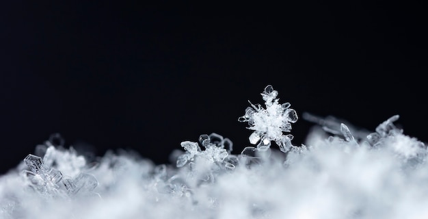 Fiocco di neve sulla neve Vacanze invernali e sfondo di Natale