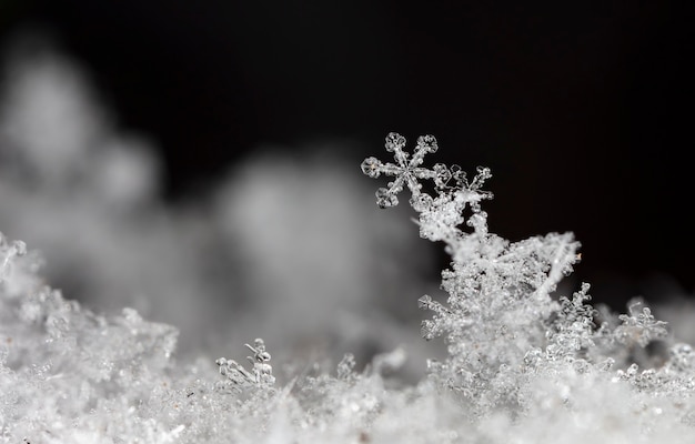 Fiocco di neve sulla neve. Vacanze invernali e sfondo di Natale