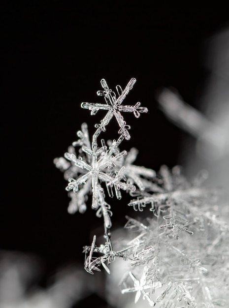 Fiocco di neve sulla neve. Vacanze invernali e sfondo di Natale