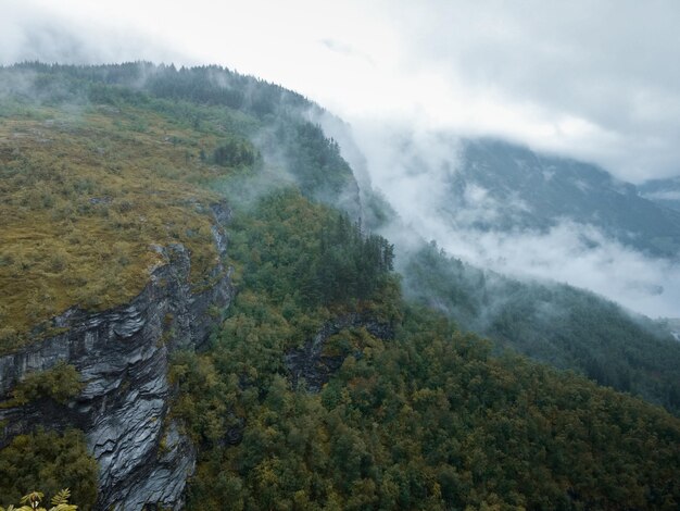 Fiordi nuvolosi della scogliera Norvegia