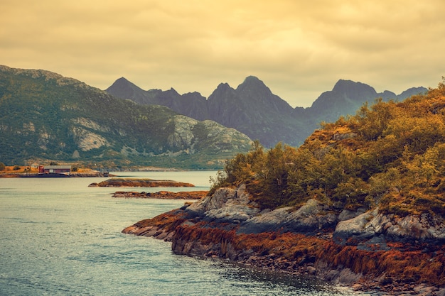 Fiordo al tramonto. Banca rocciosa in serata. Bella natura Norvegia. Isole Lofoten