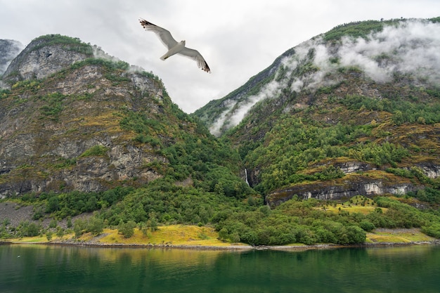 Fiordo norvegese vista mare Sognefjord paesaggio di montagna.