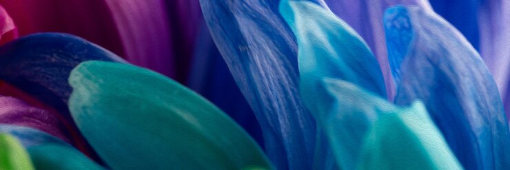 Fiore arcobaleno isolato su sfondo nero Sfondo colorato daisy Superficie astratta arcobaleno
