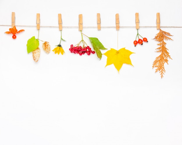 Fiore autunnale, foglie di acero, bacche di rosa canina, viburno rosso, coni di luppolo e physalis.