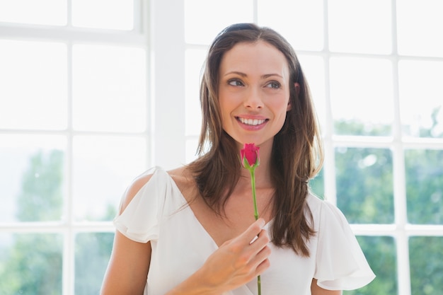 Fiore bello premuroso della tenuta della donna