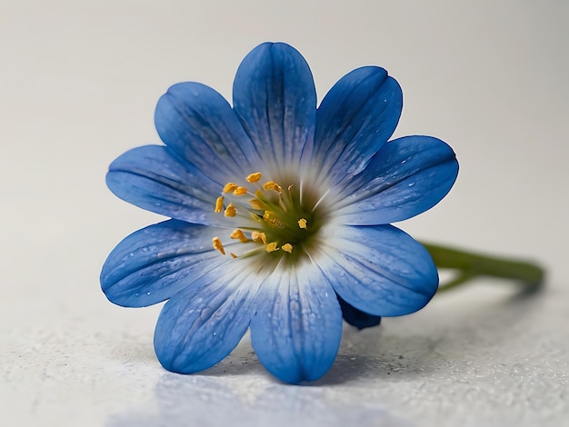 Fiore blu isolato su sfondo bianco ai generato