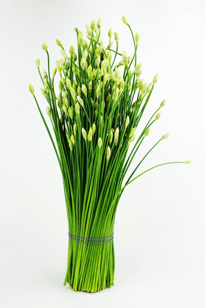 Fiore cinese della erba cipollina o della erba cipollina isolato su fondo bianco