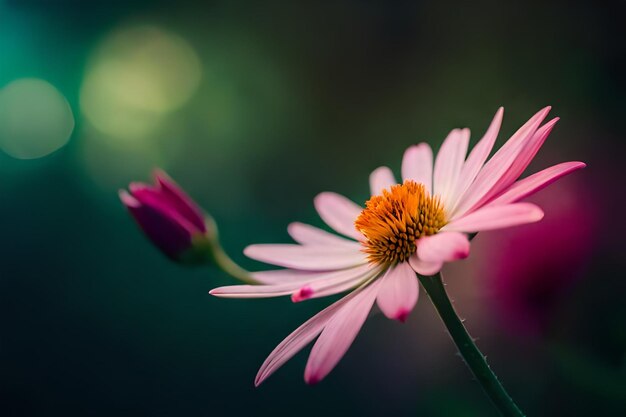 fiore colorato con una foglia verde su