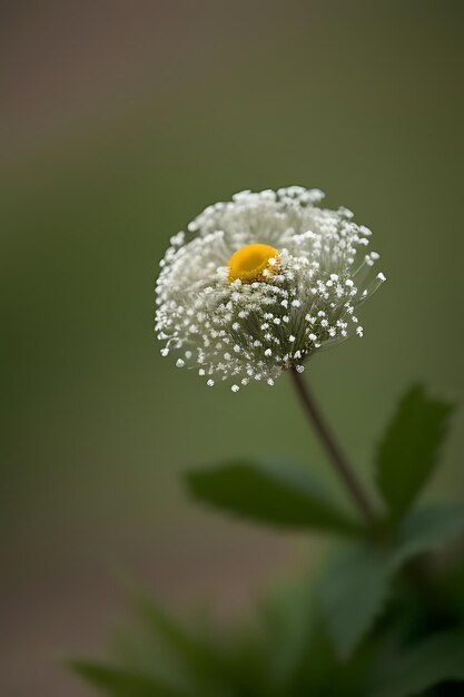 fiore dall'aspetto realistico