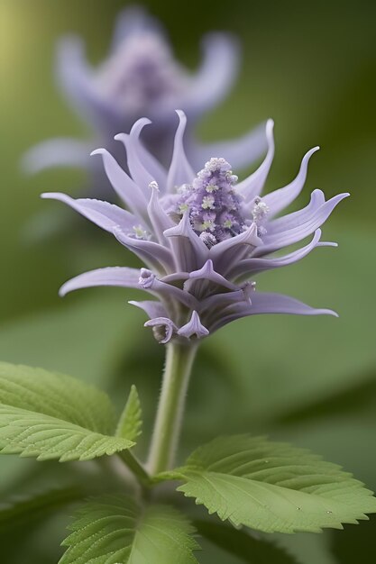 fiore dall'aspetto realistico