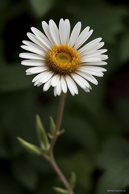 fiore dall'aspetto realistico