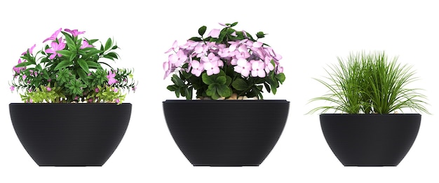 fiore decorativo in un vaso isolato su sfondo bianco illustrazione 3D rendering cg