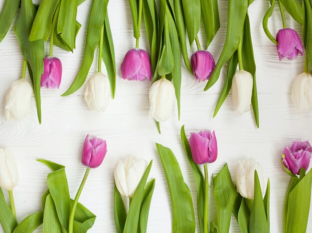 Fiore dei tulipani della primavera su fondo di legno. Tulipano, concetto di giardinaggio.