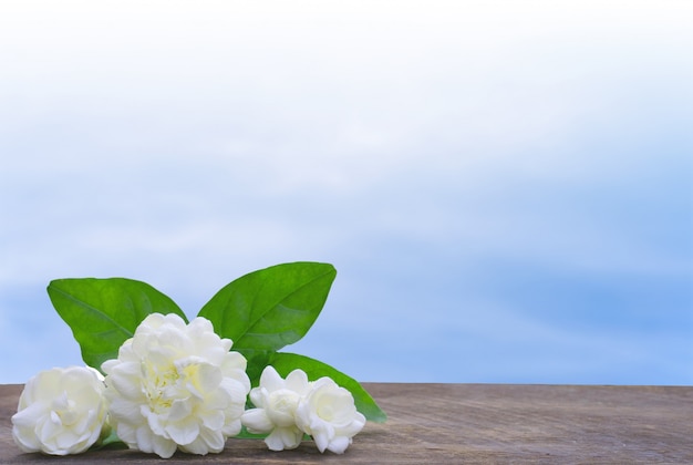 Fiore del gelsomino del mazzo sul piatto di legno contro il cielo blu-chiaro.