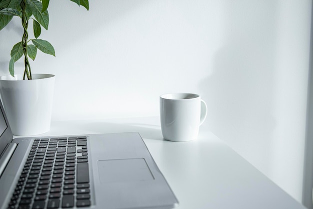 Fiore dell'interno della tazza bianca del computer portatile su un tavolo bianco Luogo di lavoro