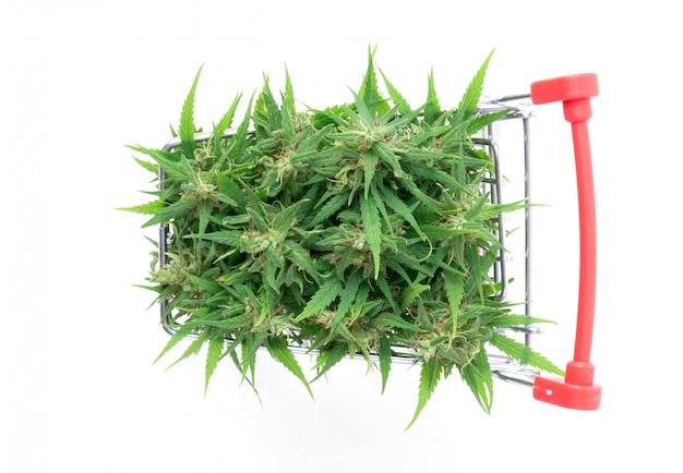 Fiore della marijuana in carrello isolato