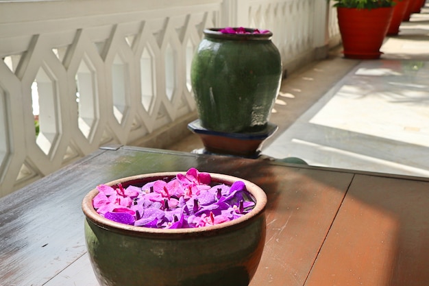 Fiore delle orchidee di Vanda in acqua