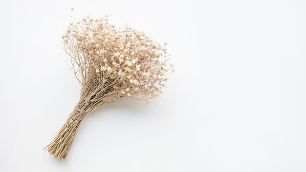 Fiore di bouquet ramo secco su sfondo bianco