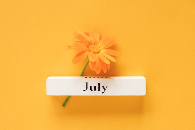 Fiore di calendula arancione e calendario mese estivo luglio