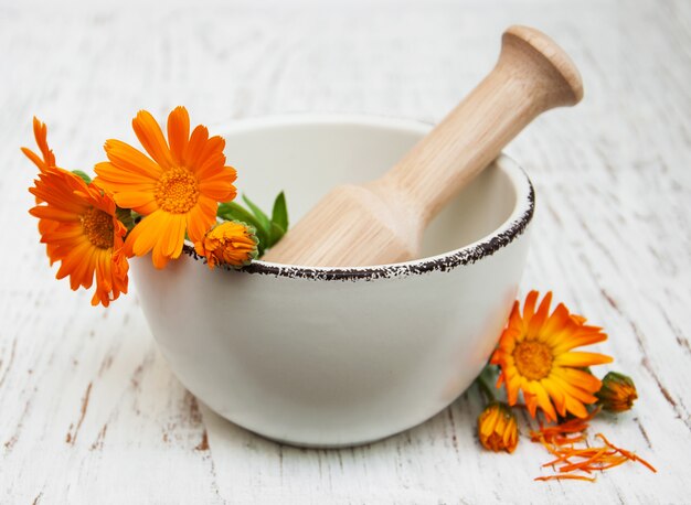 Fiore di calendula officinalis in mortaio